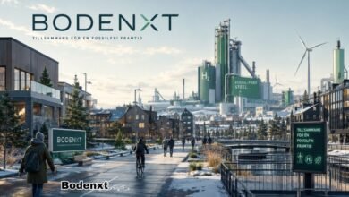 Bodenxt