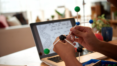 Building Strong Foundations in Science with Online Learning Support