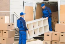 Professional Movers