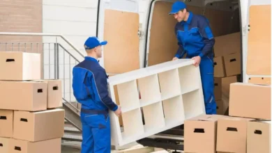 Professional Movers
