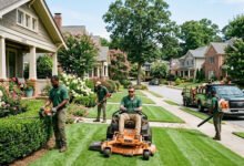 Atlanta Lawn Services