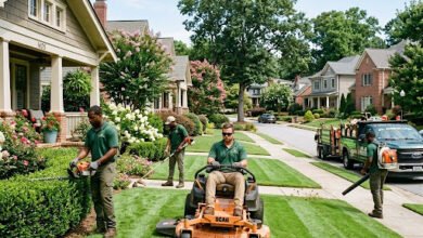 Atlanta Lawn Services
